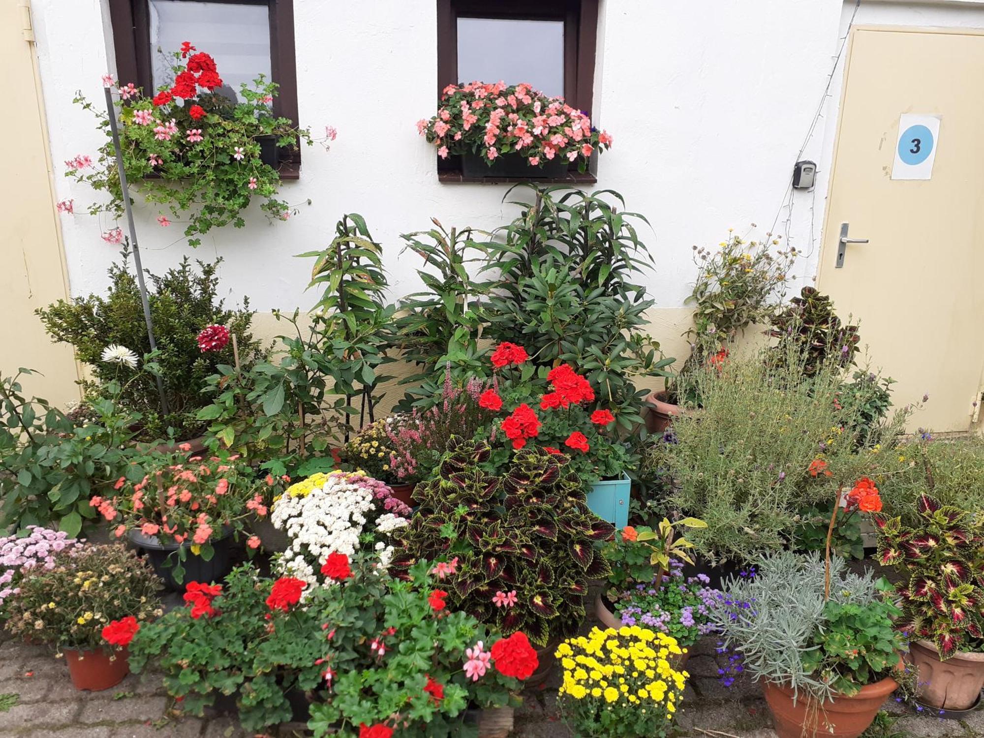 4 Naehe Elmshorn Barmstedt